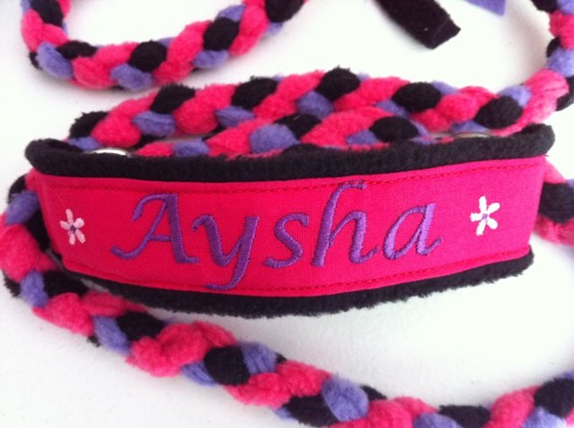 Aussie Agility: Personalised Collar &amp; Lead Colours Samples